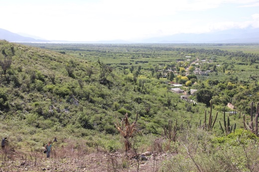 Versant sud de la chaînes Matheux. An fond le Trou Caïman